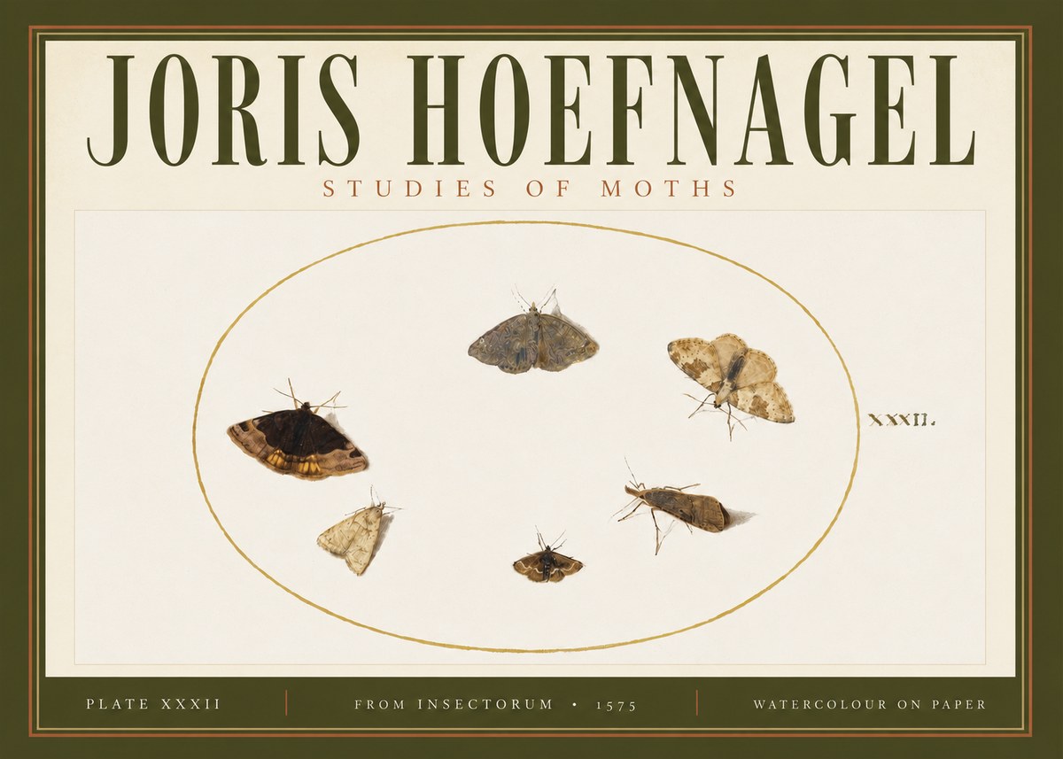 Joris Hoefnagel Studies of Moths III No4 - Poszter