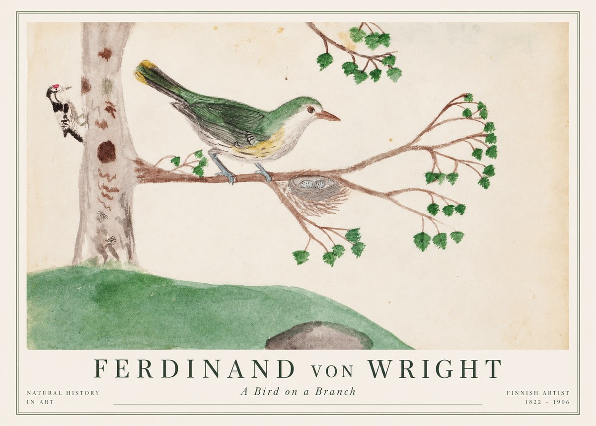 Ferdinand von Wright Green Warbler with Nest No2 - Poszter