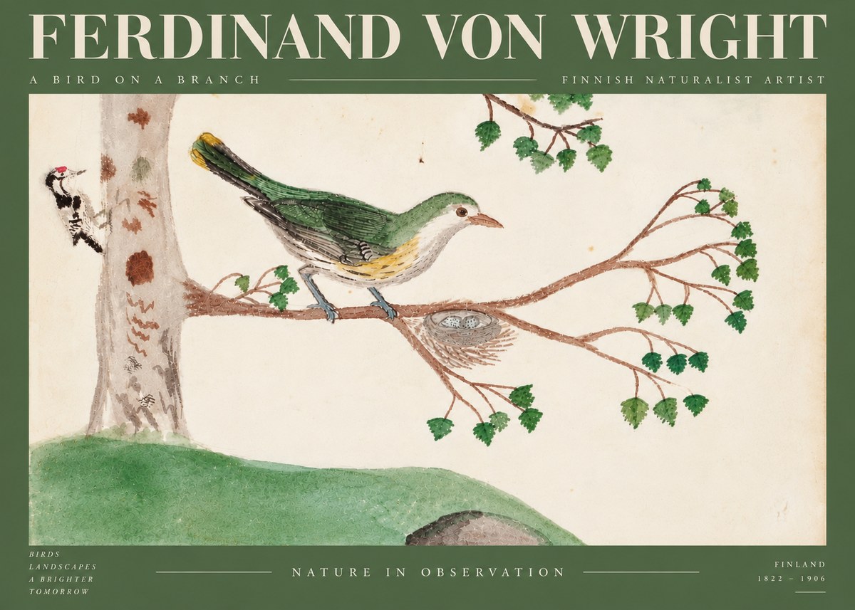 Ferdinand von Wright Green Warbler with Nest No6 - Poszter