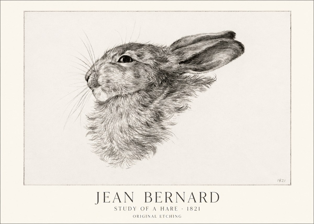 Jean Bernard Study of a Hare No1 - Poszter