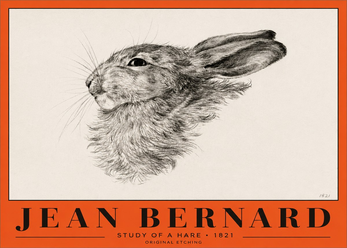Jean Bernard Study of a Hare No2 - Poszter