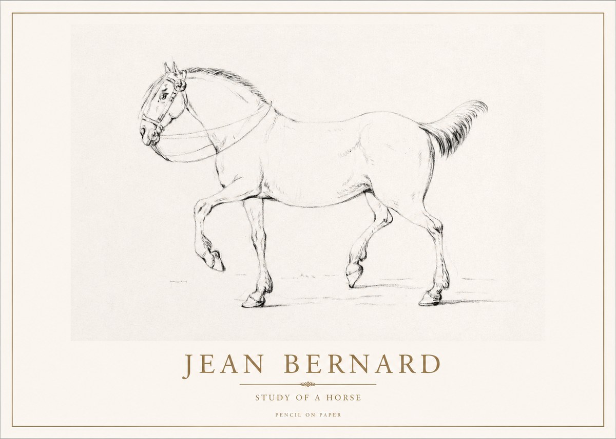 Jean Bernard Study of a Horse XVI No1 - Poszter