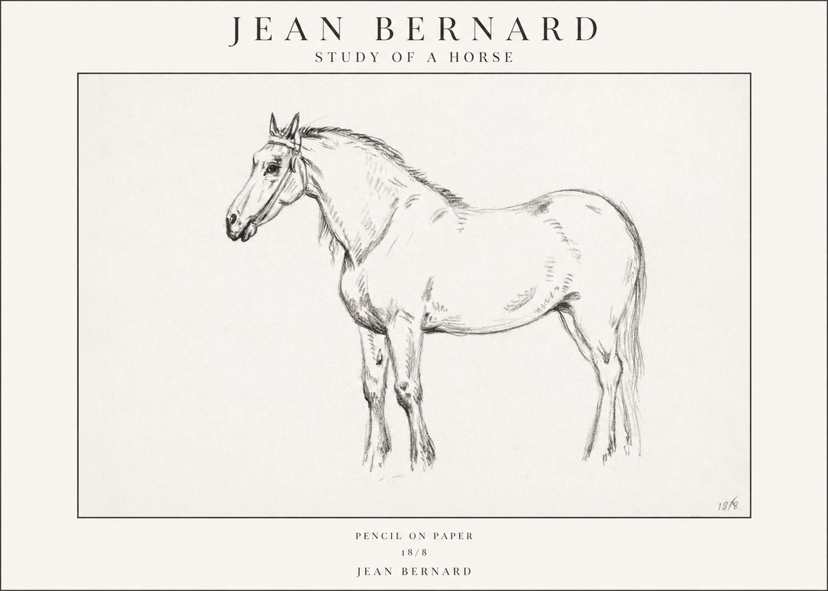 Jean Bernard Study of a Horse XVII No1 - Poszter