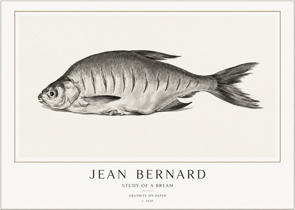 Jean Bernard Study of a Bream No1 - Poszter