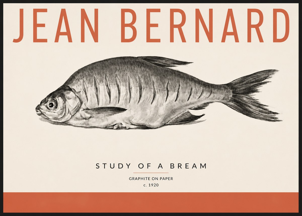 Jean Bernard Study of a Bream No4 - Poszter