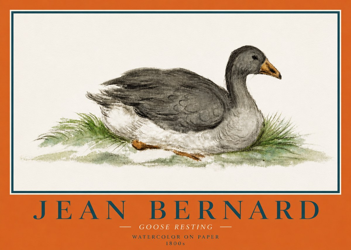 Jean Bernard Goose Resting No4 - Poszter