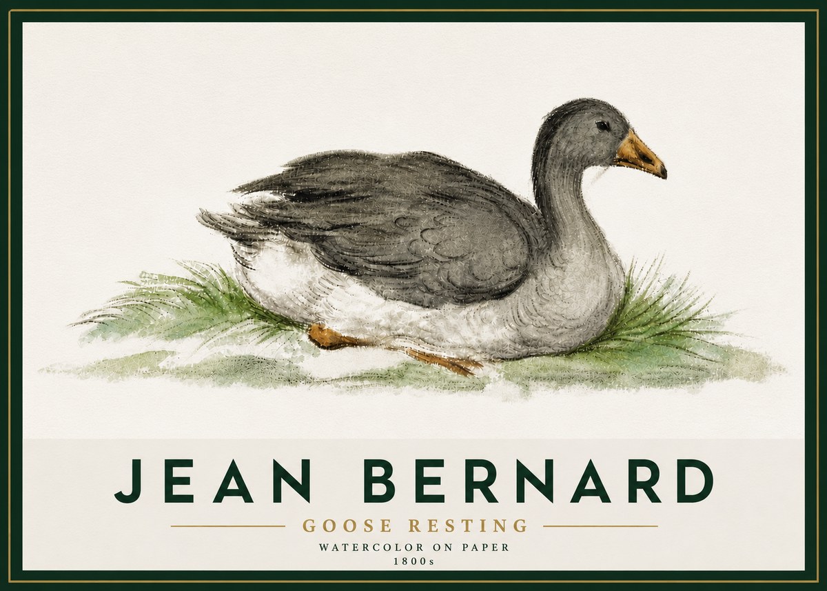 Jean Bernard Goose Resting No5 - Poszter