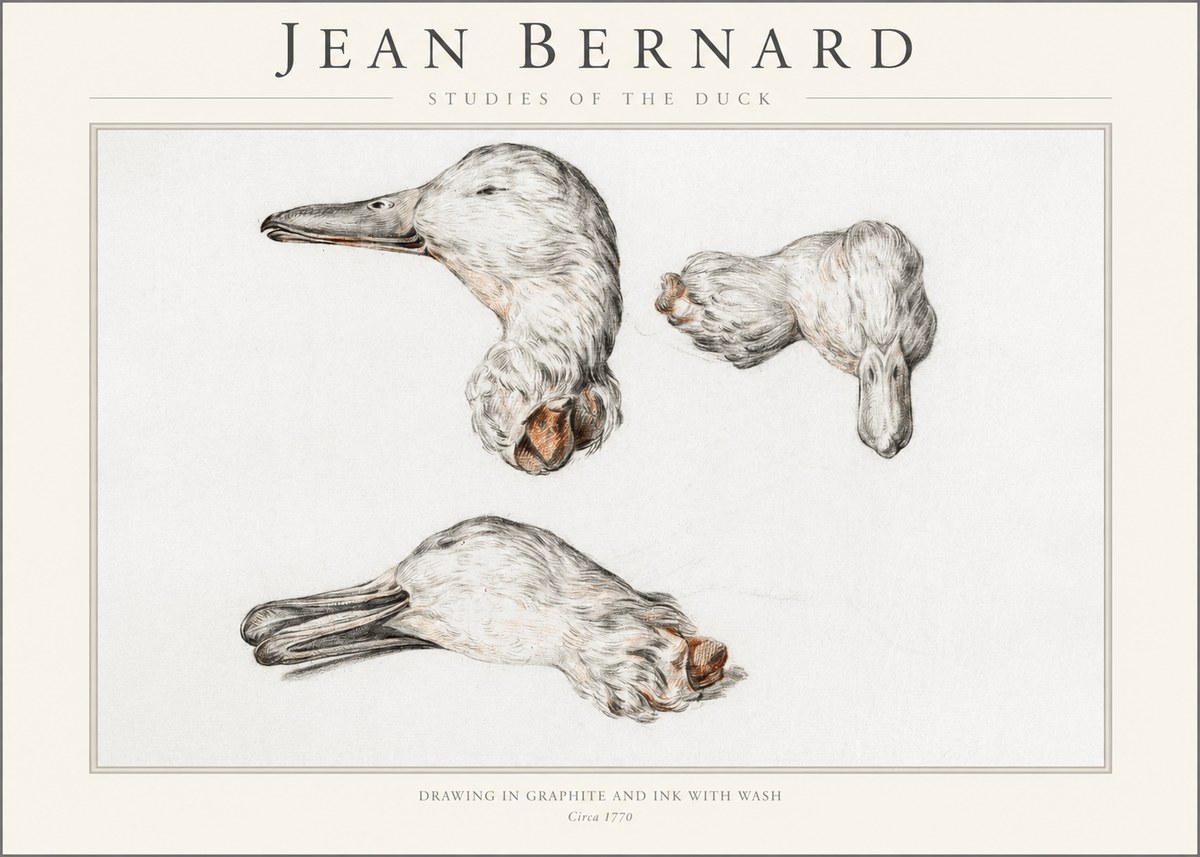 Jean Bernard Studies of the Duck No1 - Poszter