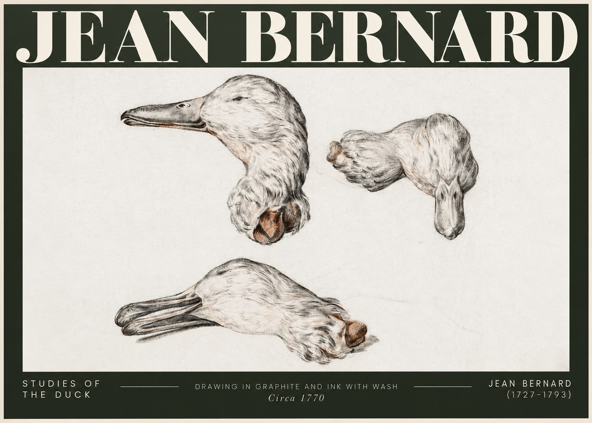Jean Bernard Studies of the Duck No5 - Poszter