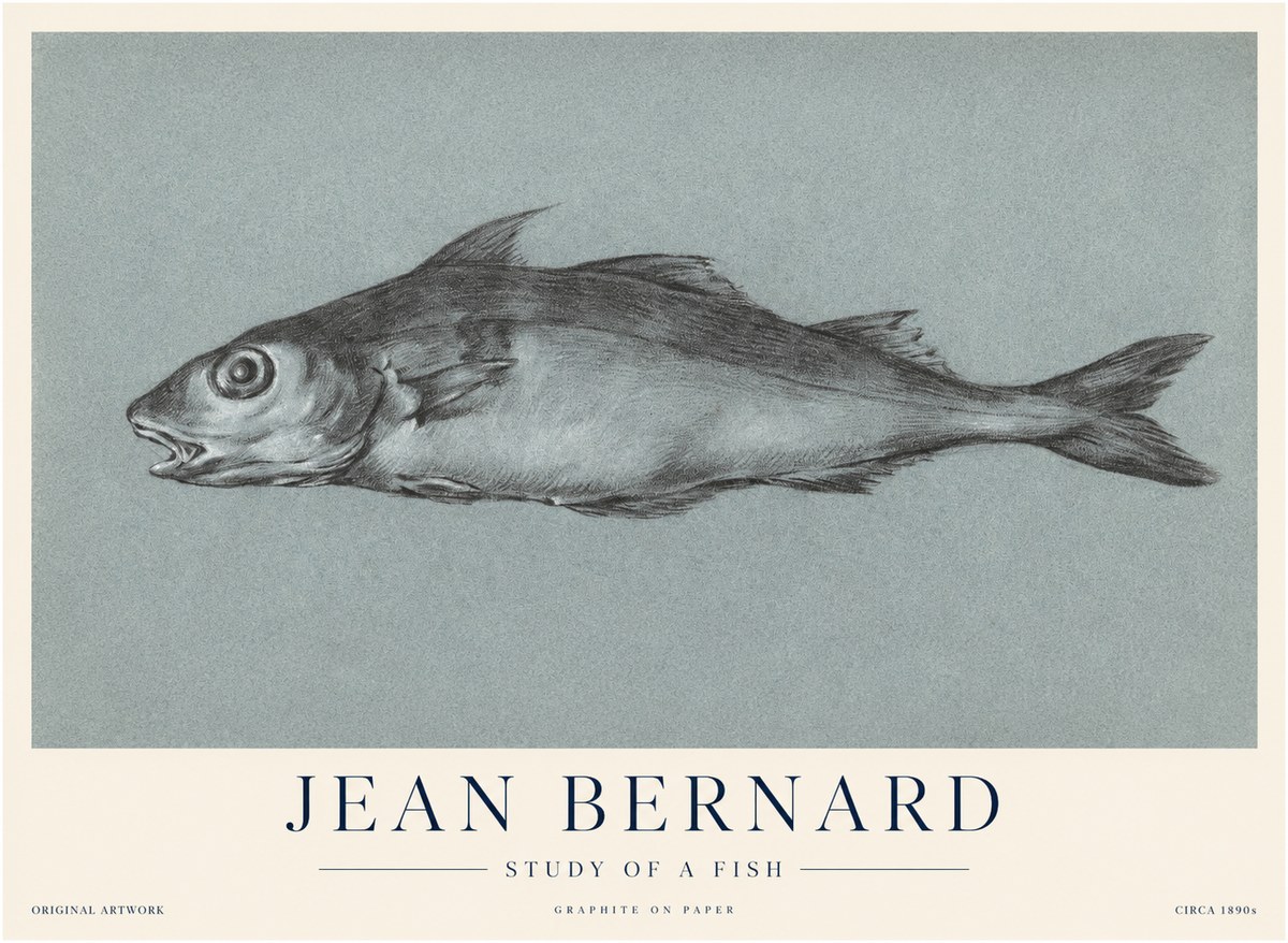 Jean Bernard Fish Study I No4 - Poszter