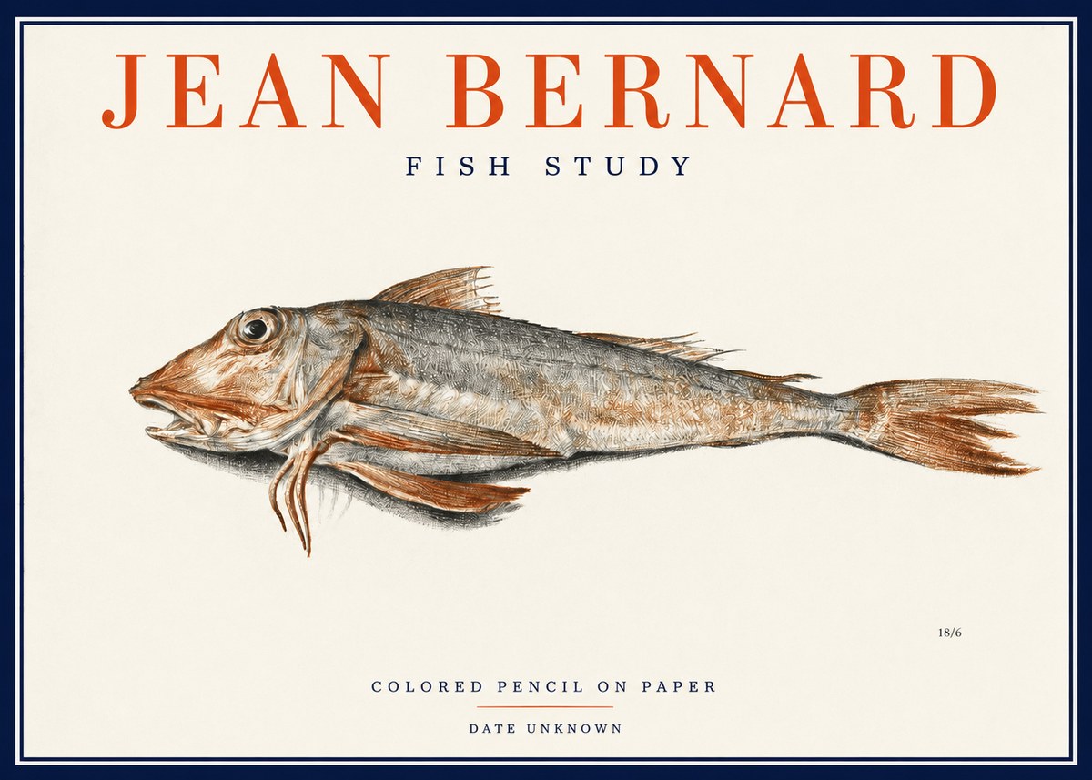 Jean Bernard Fish Study II No2 - Poszter