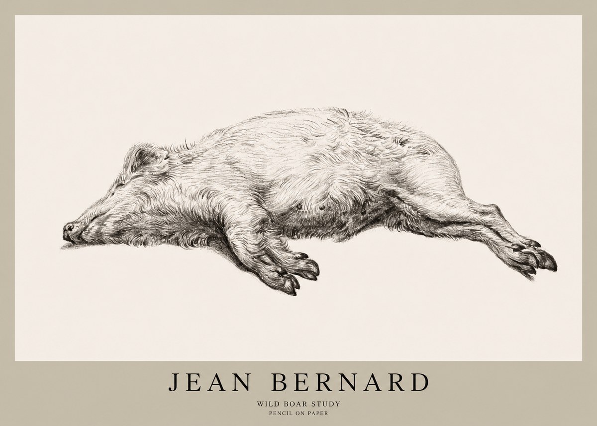 Jean Bernard Wild Boar Study No1 - Poszter