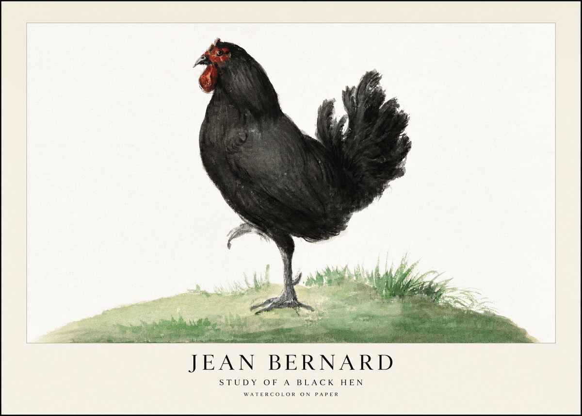 Jean Bernard Study of a Black Hen No1 - Poszter