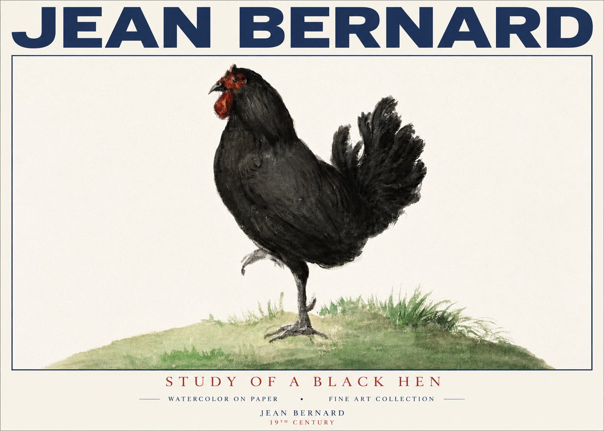 Jean Bernard Study of a Black Hen No4 - Poszter