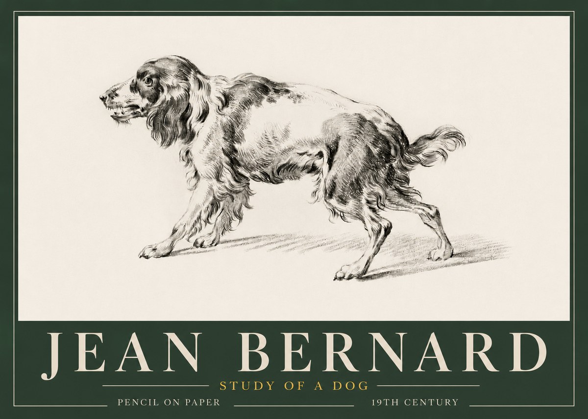 Jean Bernard Study of a Dog V No3 - Poszter