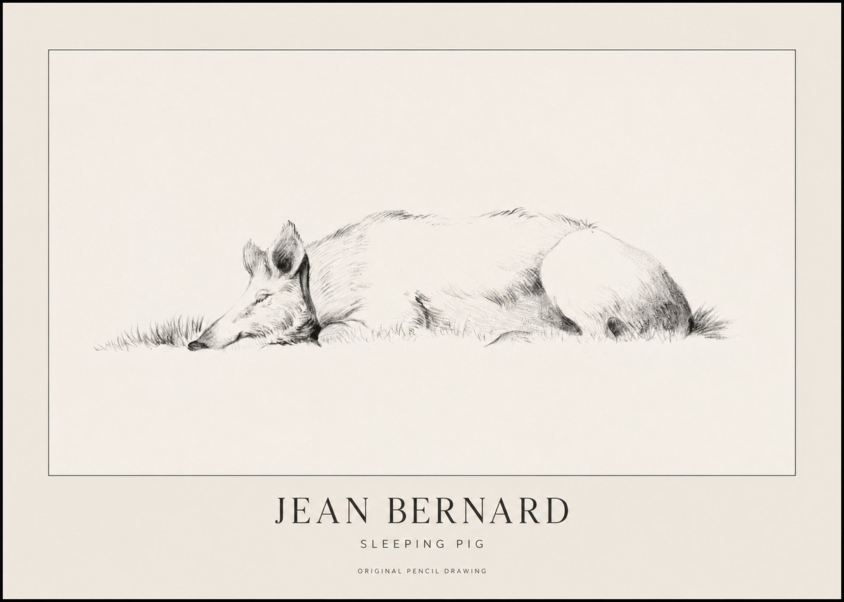 Jean Bernard Sleeping Pig II No1 - Poszter