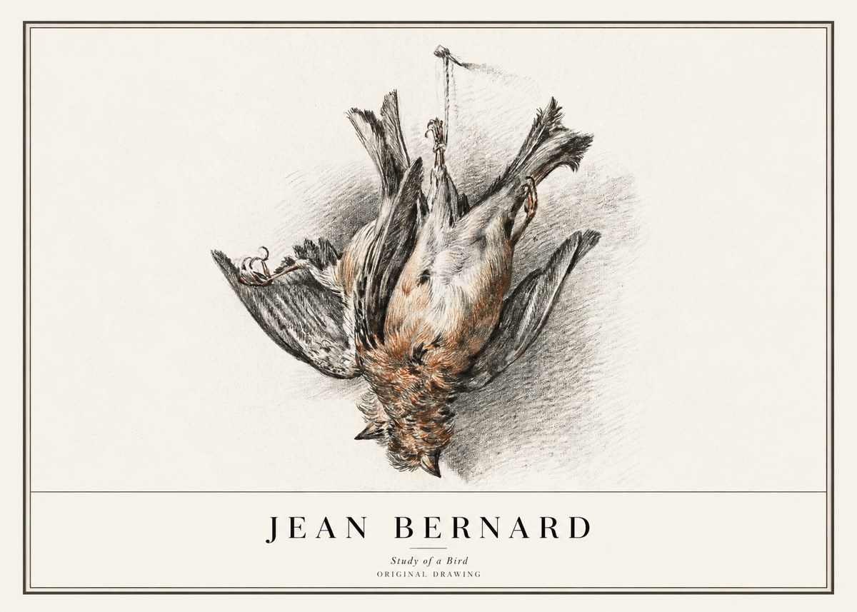 Jean Bernard Study of a Bird IV No1 - Poszter