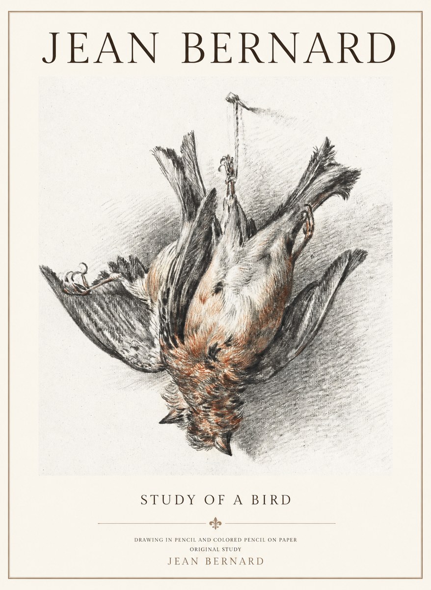 Jean Bernard Study of a Bird IV No3 - Poszter