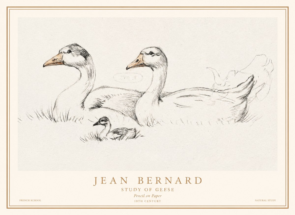 Jean Bernard Study of Geese No1 - Poszter