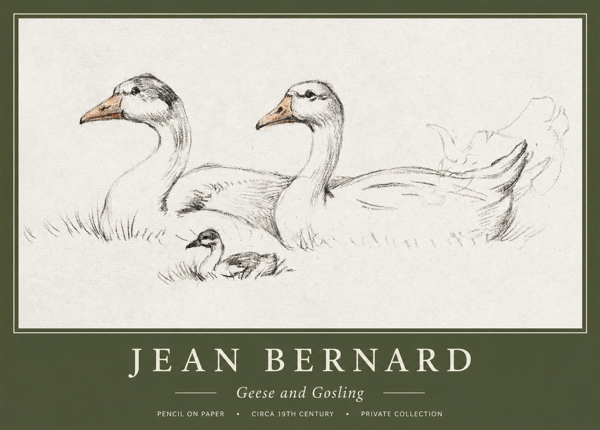 Jean Bernard Study of Geese No2 - Poszter