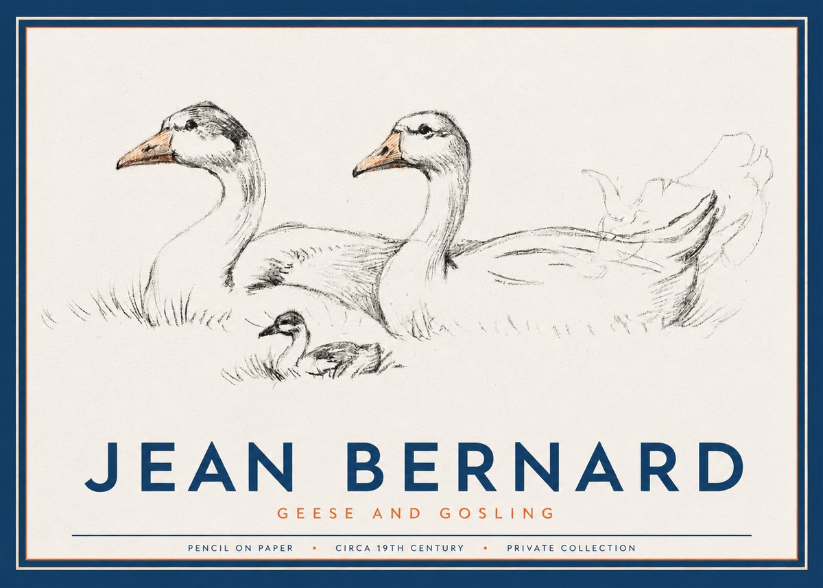 Jean Bernard Study of Geese No3 - Poszter