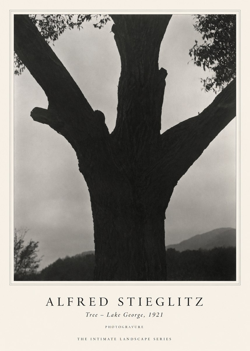 Alfred Stieglitz Tree - Lake George, 1921 No1 - Poszter