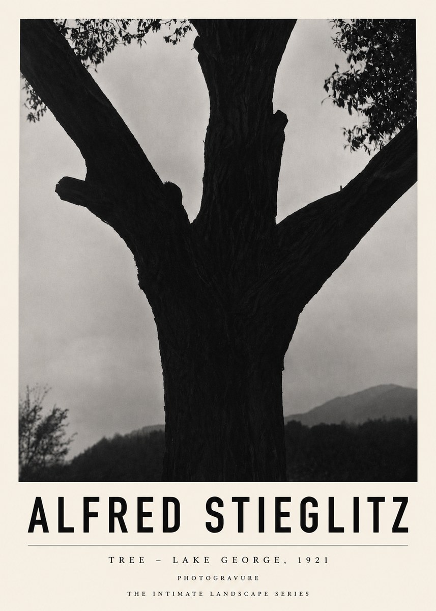 Alfred Stieglitz Tree - Lake George, 1921 No3 - Poszter