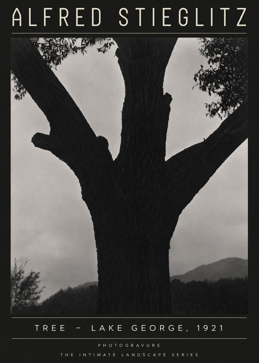 Alfred Stieglitz Tree - Lake George, 1921 No4 - Poszter