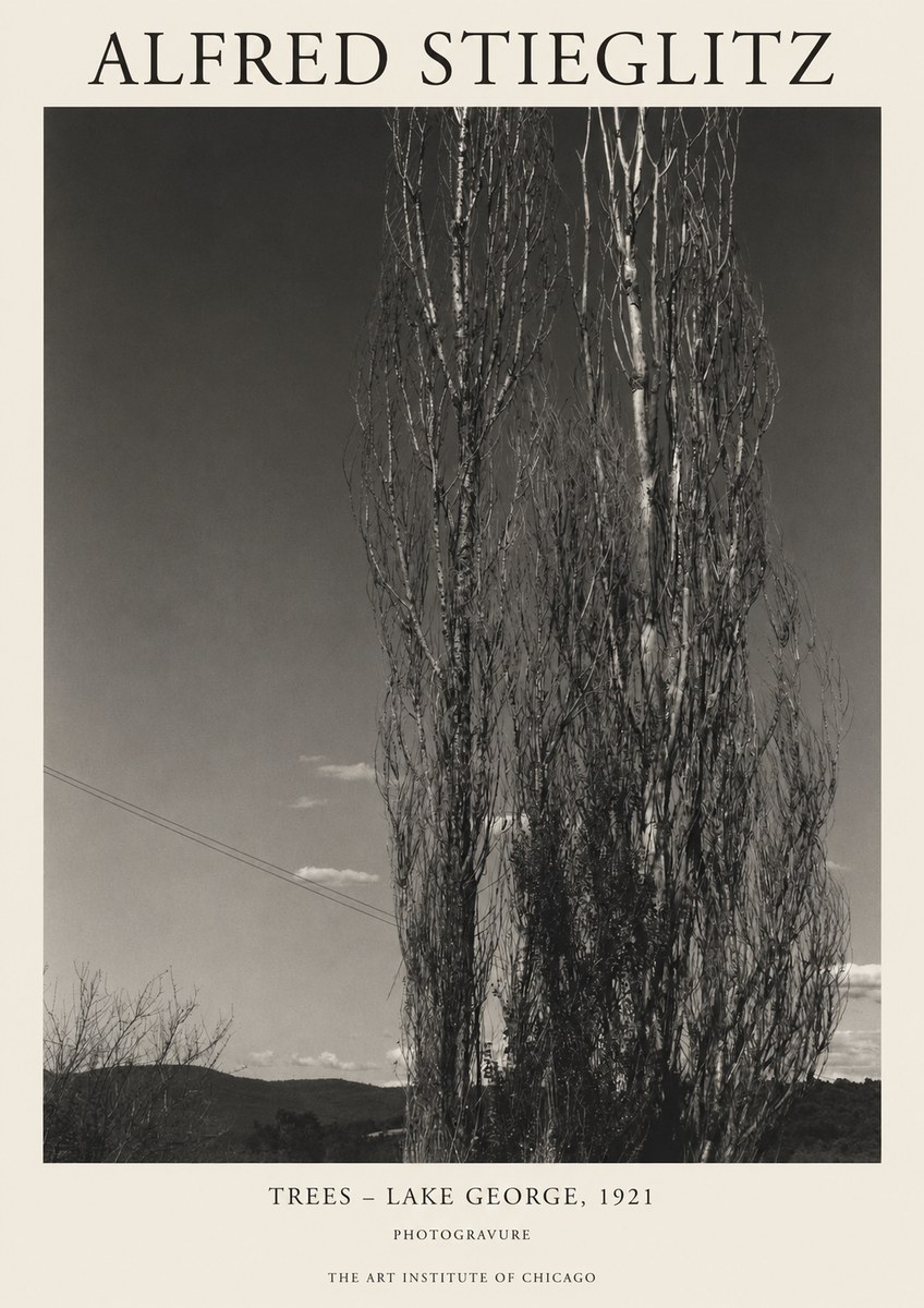 Alfred Stieglitz Trees - Lake George, 1921 No1 - Poszter