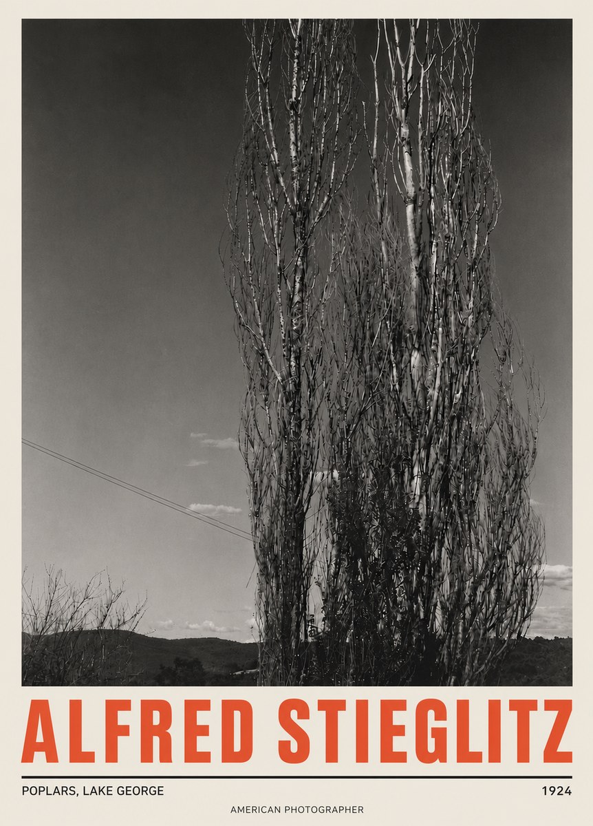 Alfred Stieglitz Trees - Lake George, 1921 No5 - Poszter