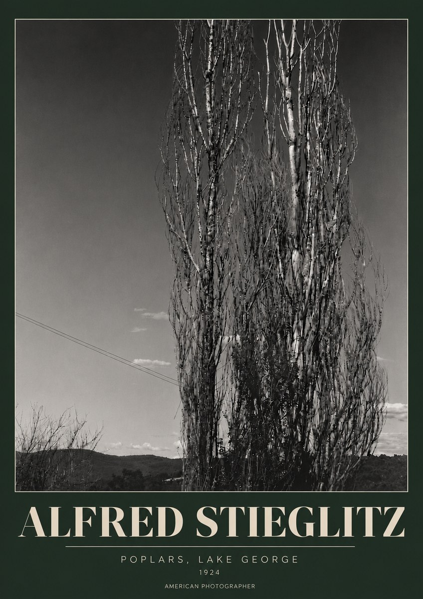 Alfred Stieglitz Trees - Lake George, 1921 No6 - Poszter