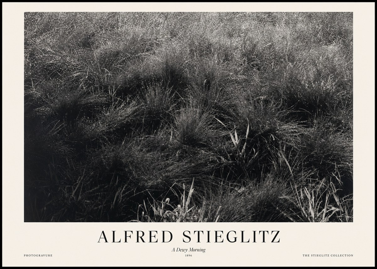 Alfred Stieglitz A Dewy Morning No1 - Poszter