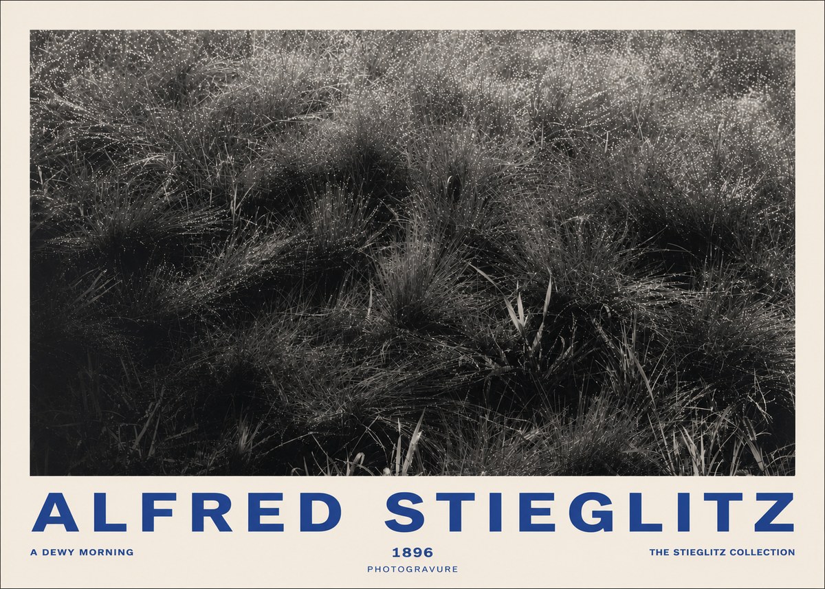 Alfred Stieglitz A Dewy Morning No2 - Poszter