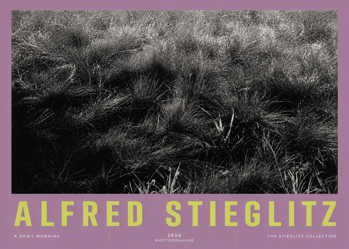 Alfred Stieglitz A Dewy Morning No5 - Poszter