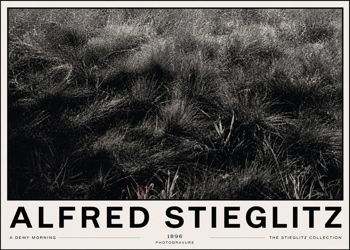Alfred Stieglitz A Dewy Morning No6 - Poszter
