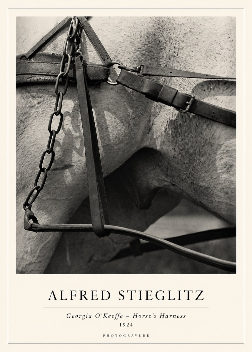Alfred Stieglitz The Steerage I No2 - Poszter