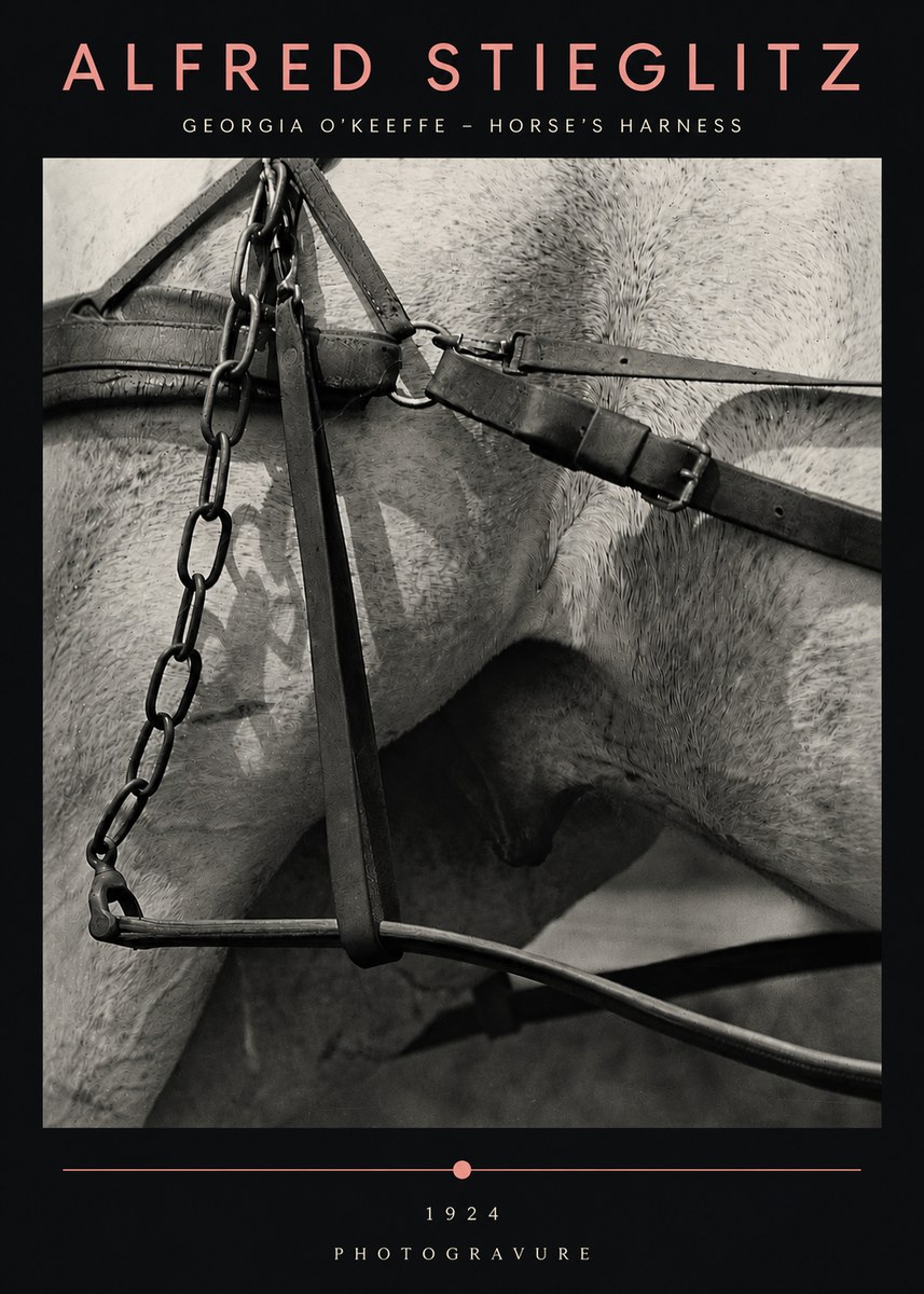 Alfred Stieglitz The Steerage I No5 - Poszter