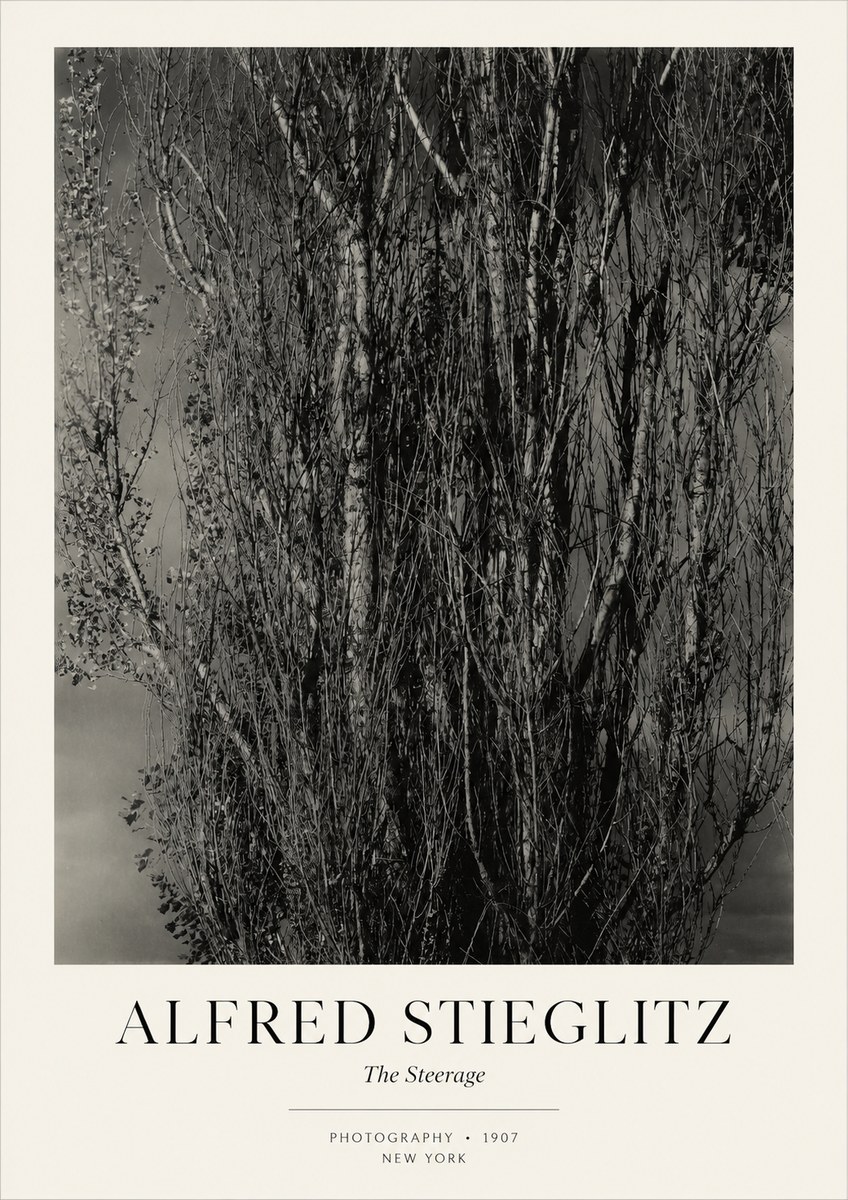 Alfred Stieglitz The Steerage II No3 - Poszter