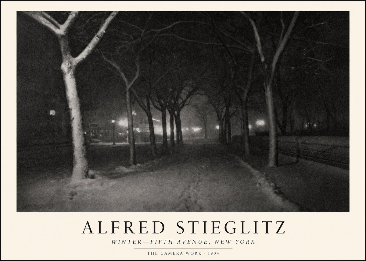 Alfred Stieglitz Winter—fifth Avenue, New York No1 - Poszter