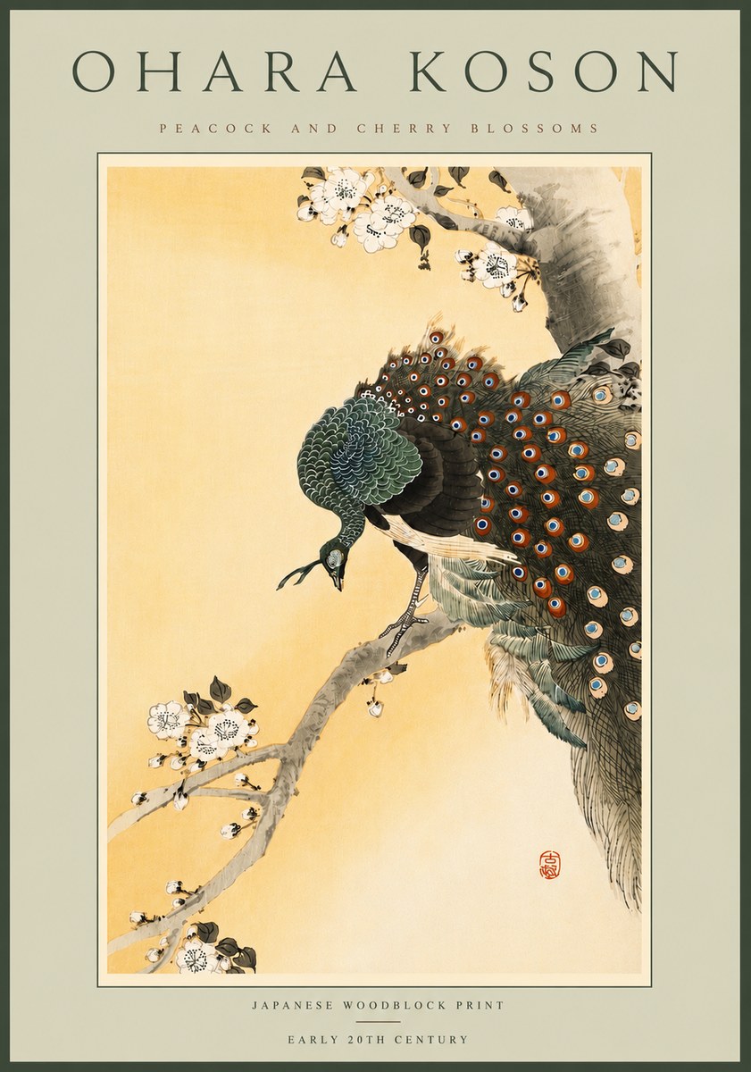 Ohara Koson Peacock and Cherry Blossoms No6 - Poszter