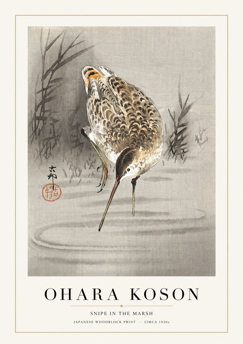 Ohara Koson Snipe in the Marsh No1 - Poszter