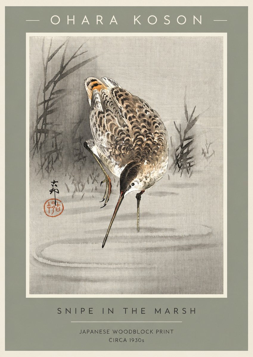Ohara Koson Snipe in the Marsh No2 - Poszter