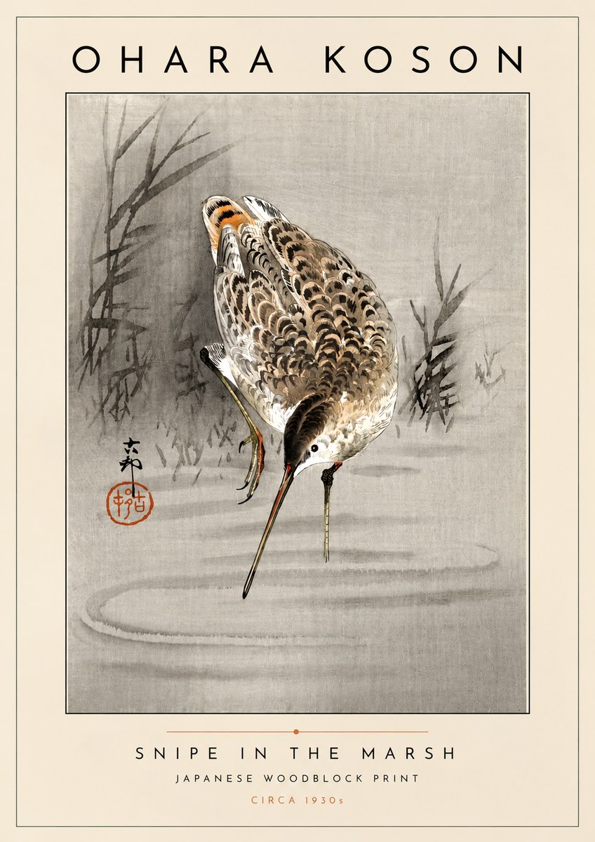Ohara Koson Snipe in the Marsh No4 - Poszter