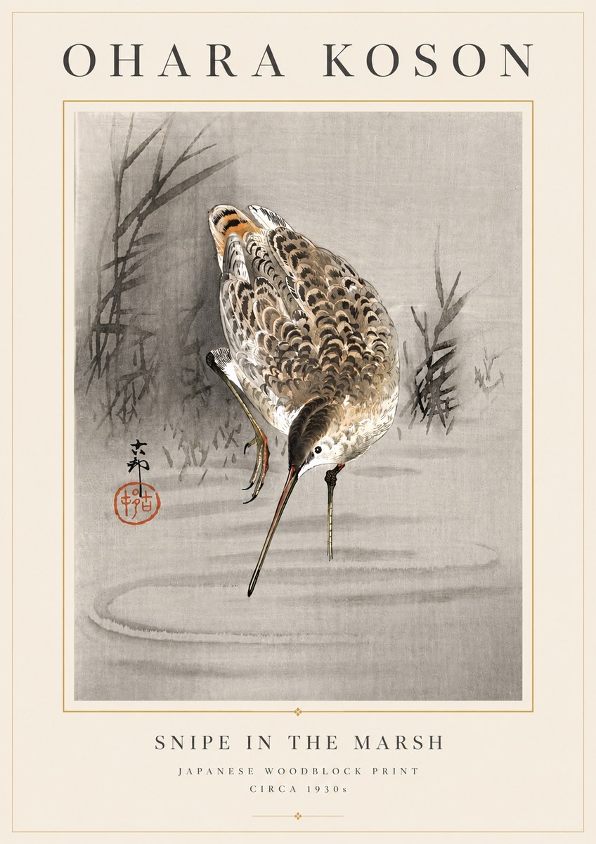 Ohara Koson Snipe in the Marsh No6 - Poszter