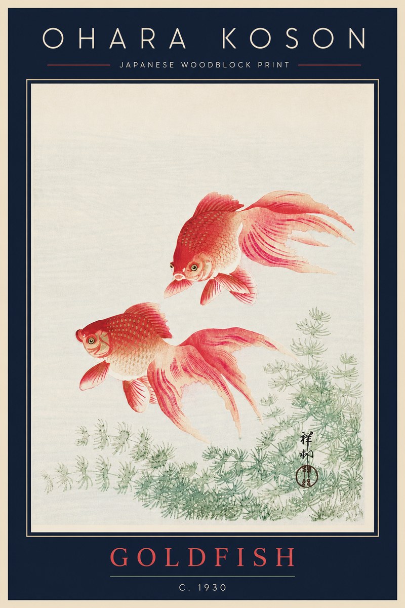 Ohara Koson Goldfish No5 - Poszter