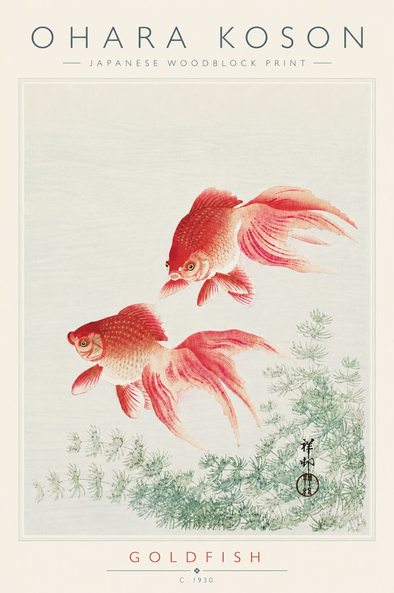 Ohara Koson Goldfish No6 - Poszter