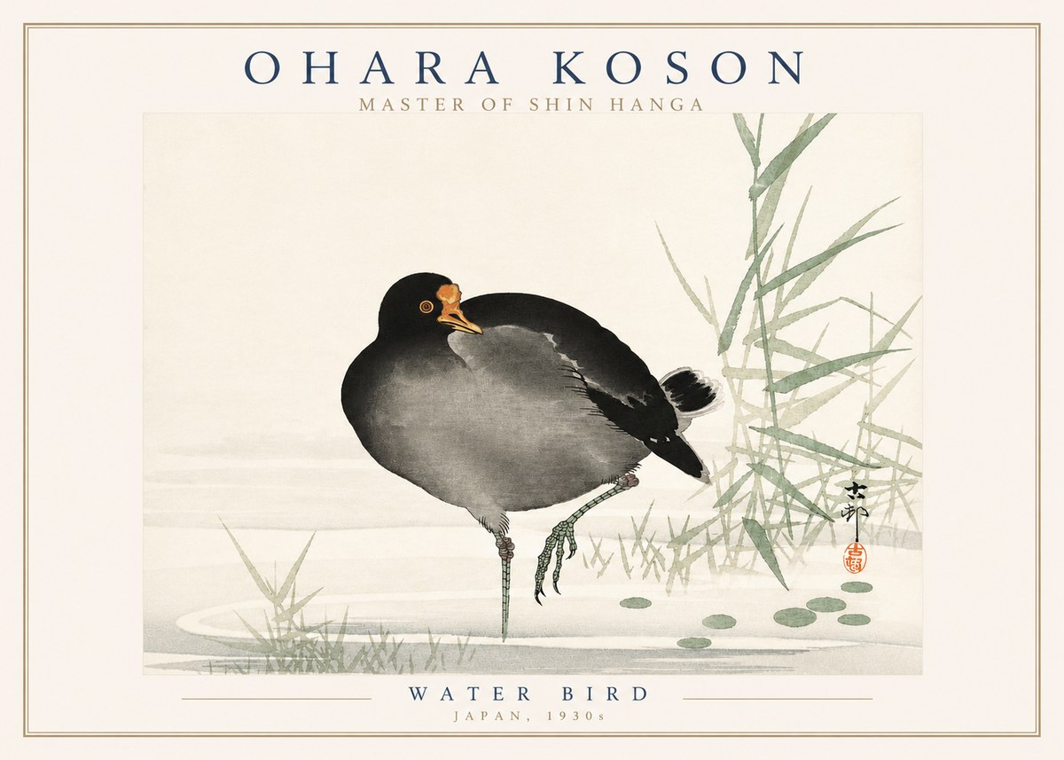 Ohara Koson Water Bird No3 - Poszter