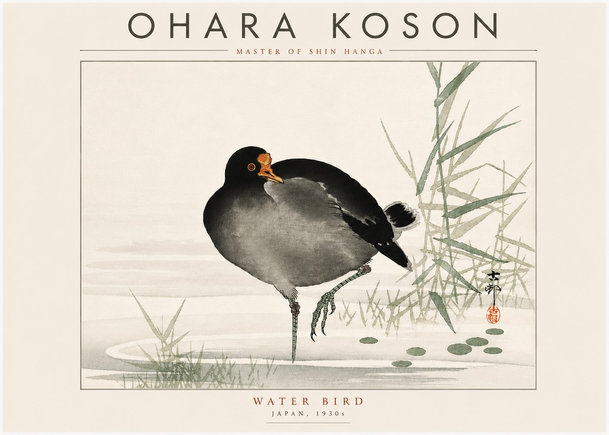 Ohara Koson Water Bird No6 - Poszter