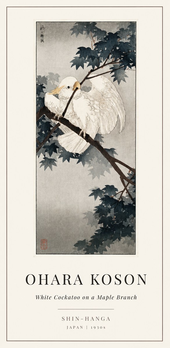 Ohara Koson White Cockatoo on a Maple Branch No1 - Poszter