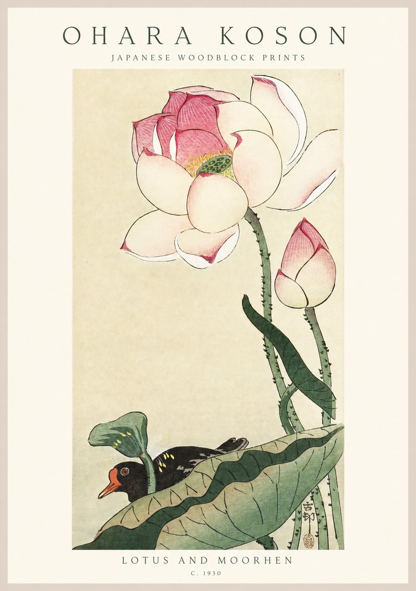 Ohara Koson Lotus and Moorhen No1 - Poszter